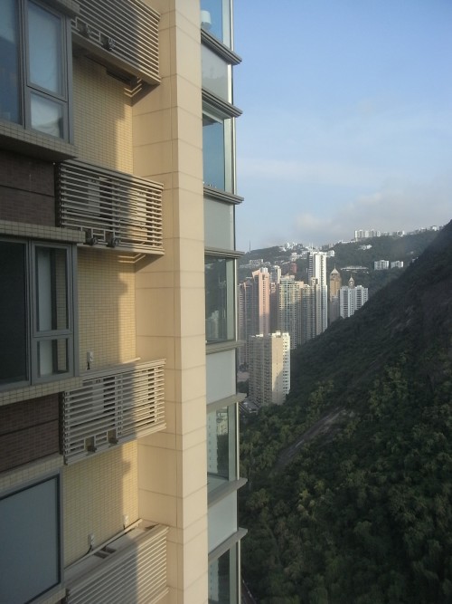  香港现亚洲楼王  每平方米超114万港币破亚洲记