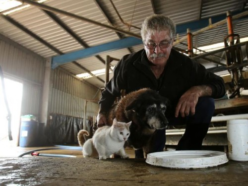  世界最老狗狗辞世  带来许多欢乐且敬业主人伤