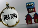 外媒：澳大利亚应向中国学楼市调控 悉尼应限购 | 澳洲