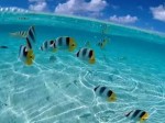 想在泰国买房？普吉岛是个不错的选择 | 海外