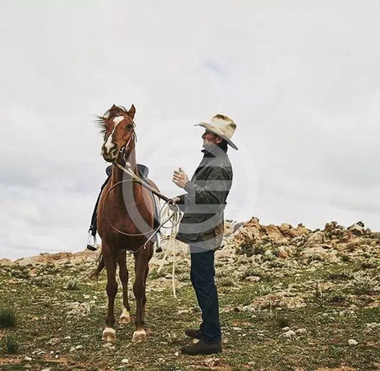 ��İĴ�����ɨ������������� | ����