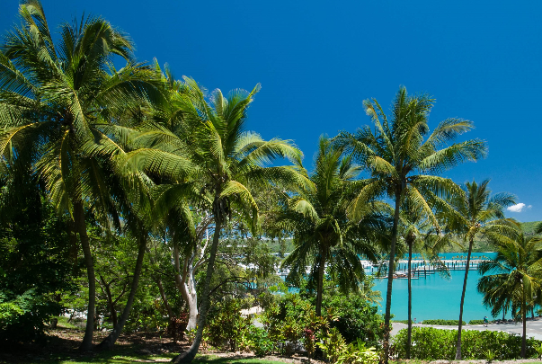 了解澳洲房产澳洲房子一般多少钱