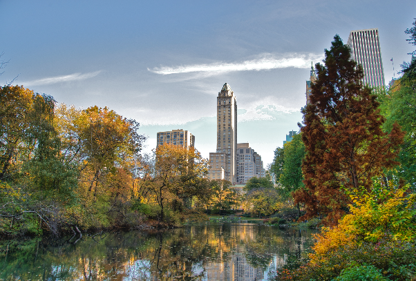 澳洲买房子多少钱