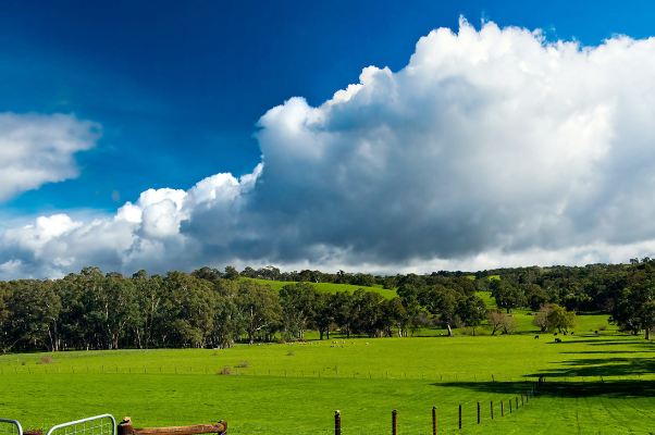 了解澳洲房产澳洲房子一般多少钱
