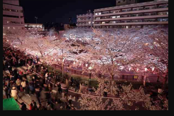 日本放假时间表2019