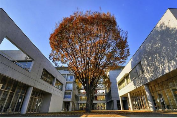 日本时间表的具体情况